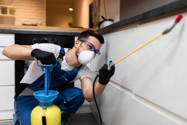 Best Termite Control Services  in Boyes Hot Springs, CA