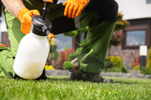 Pest Control for Restaurants in Boyes Hot Springs, CA