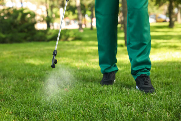 Best Exterminator Services  in Boyes Hot Springs, CA