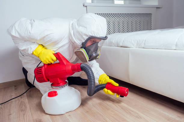Best Rat Extermination Near Me  in Boyes Hot Springs, CA