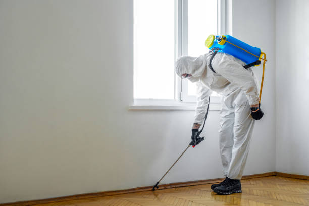 Flea Control Services in Boyes Hot Springs, CA