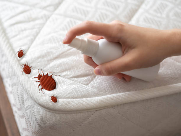 Best Pest Removal Services  in Boyes Hot Springs, CA
