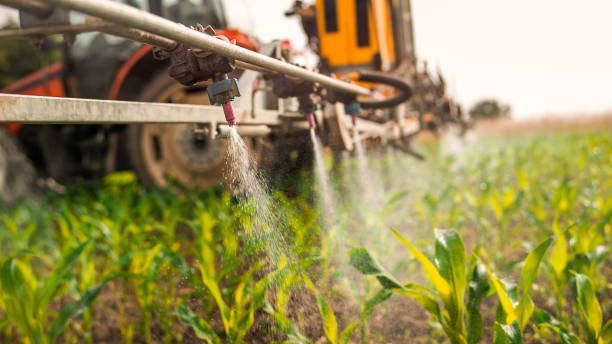 Best Mosquito Control Services  in Boyes Hot Springs, CA